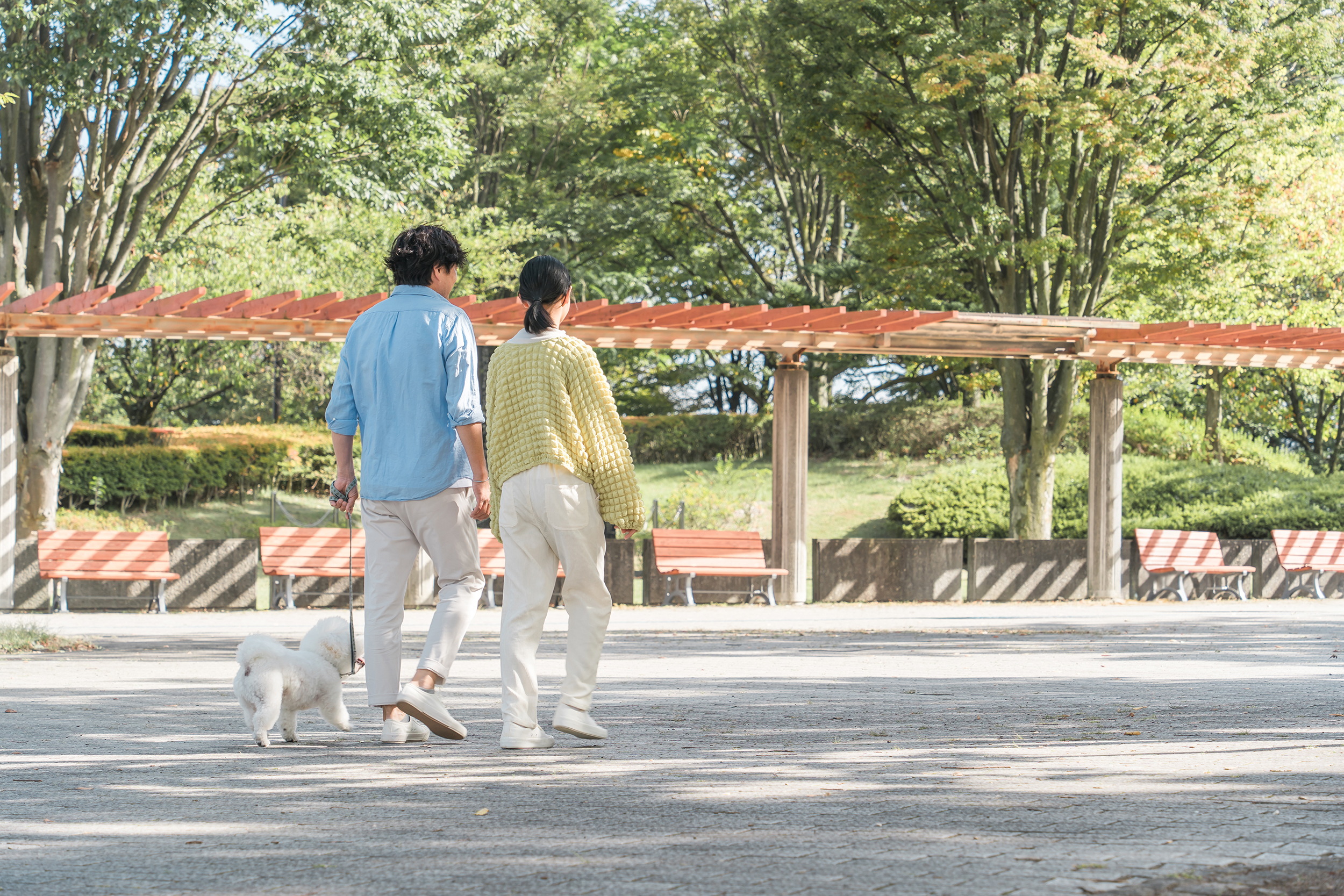 独身者の寿命は既婚者に比べて●年以上短い？データからわかる50代以上の男性の結婚事情